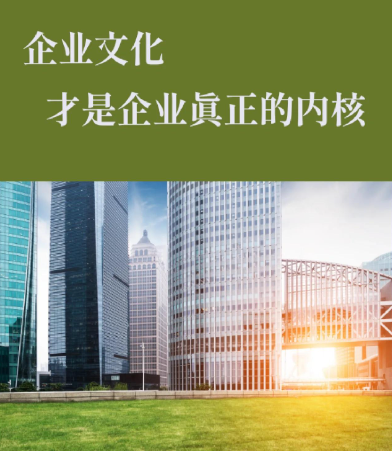 淄博大龙包装工业包装材料常见规格型号与选型参考